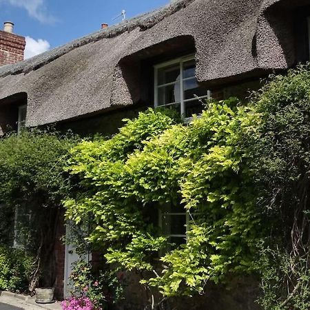 Little Thatch Cottage - Cerne Abbas, Dorset Exterior foto