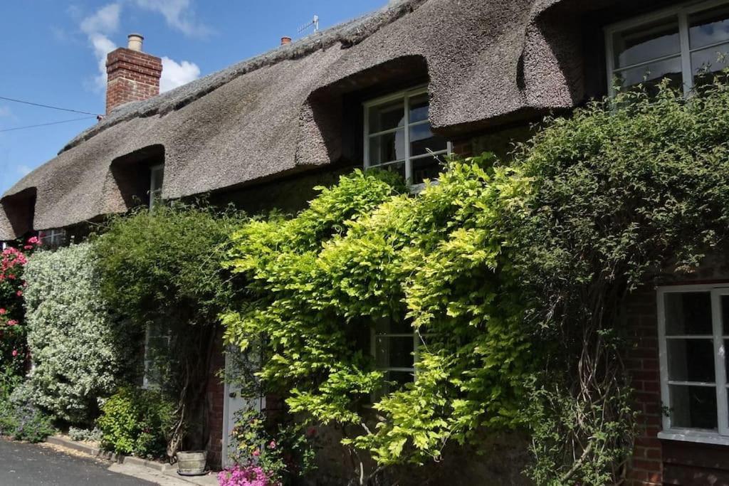 Little Thatch Cottage - Cerne Abbas, Dorset Exterior foto